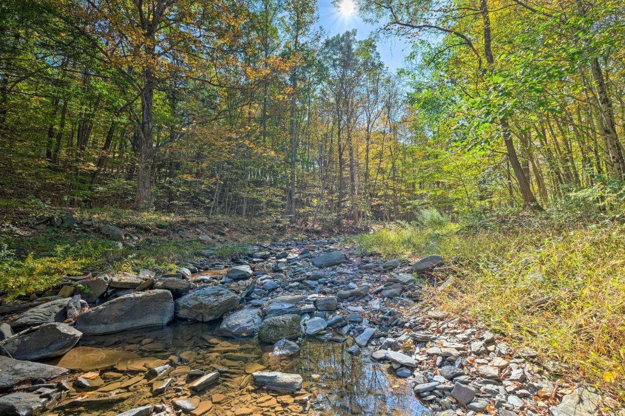 Catskill Mtn Home With Deck About 1 Miles To Zoom Flume! East Durham Εξωτερικό φωτογραφία