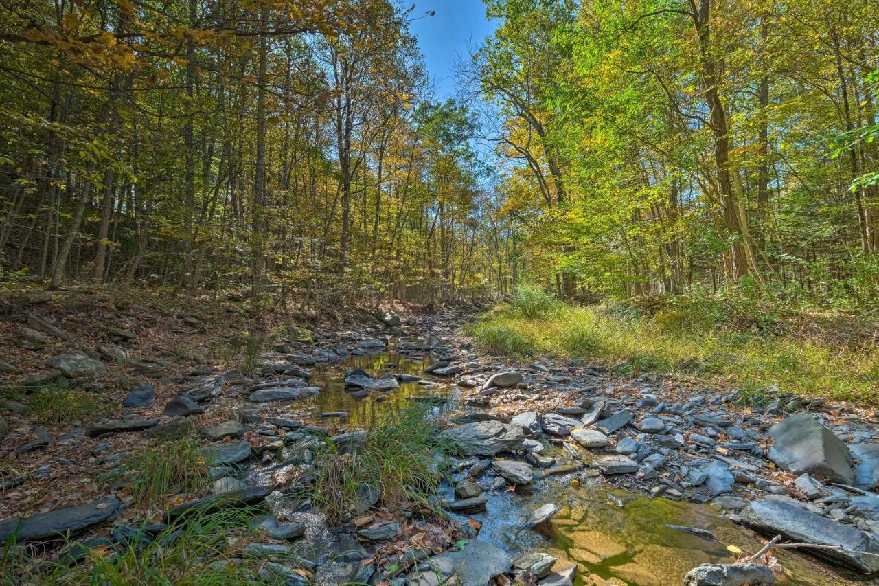 Catskill Mtn Home With Deck About 1 Miles To Zoom Flume! East Durham Εξωτερικό φωτογραφία